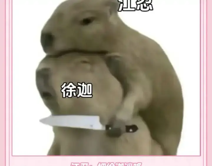 《偏偏宠爱》第35期 搞点事：关于江忍的一些梗图图5