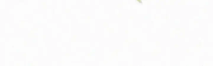 《偏偏宠爱》第143话 大学图70