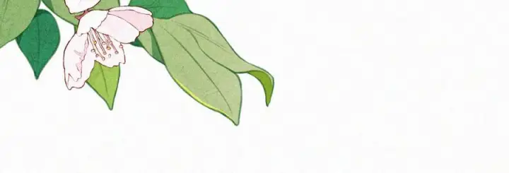 《偏偏宠爱》第146话 我没钱图38