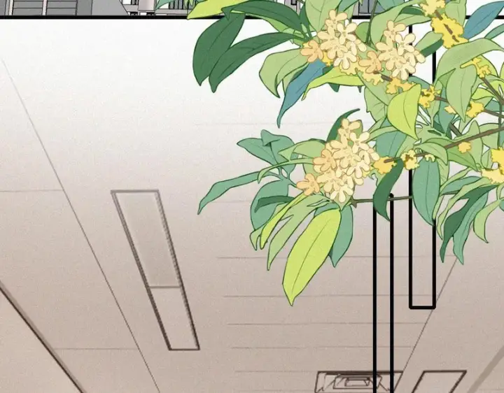 《偏偏宠爱》第162话 全世界最好的都给她图14