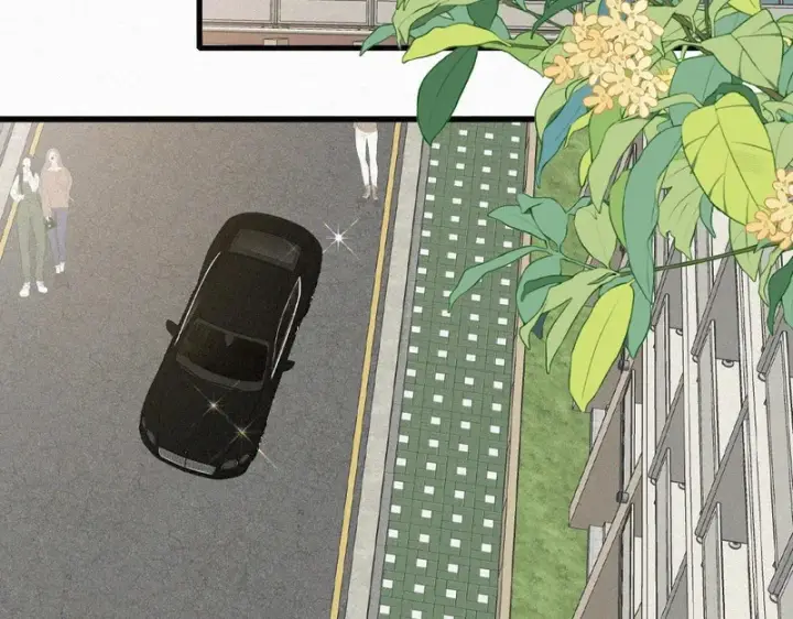 《偏偏宠爱》第179话 新贵图35