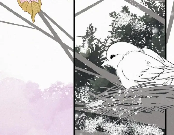 《偏偏宠爱》第189话 她来做我媳妇图68