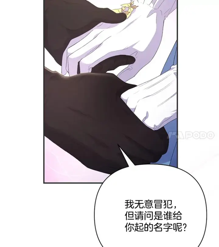 《偏执男配疯掉了》8.花又复明图74