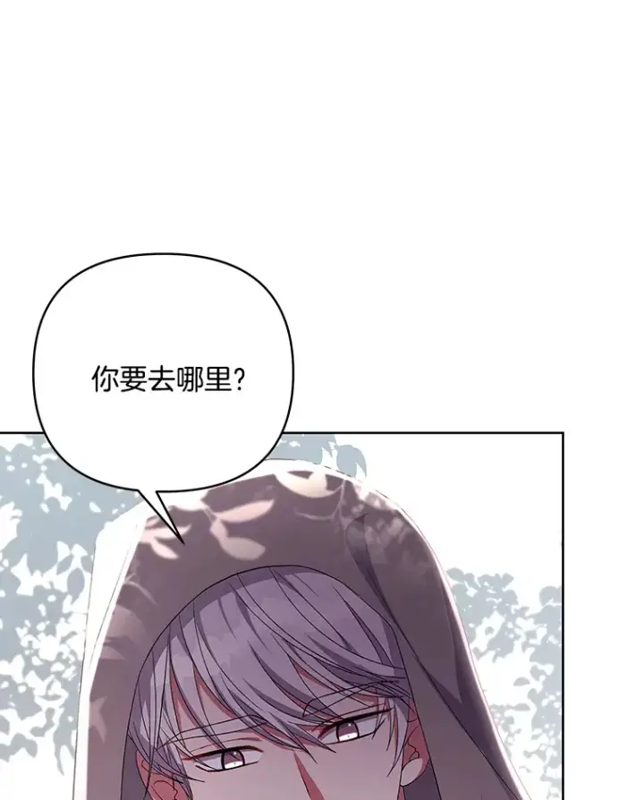 《偏执男配疯掉了》17.阳光明媚图30