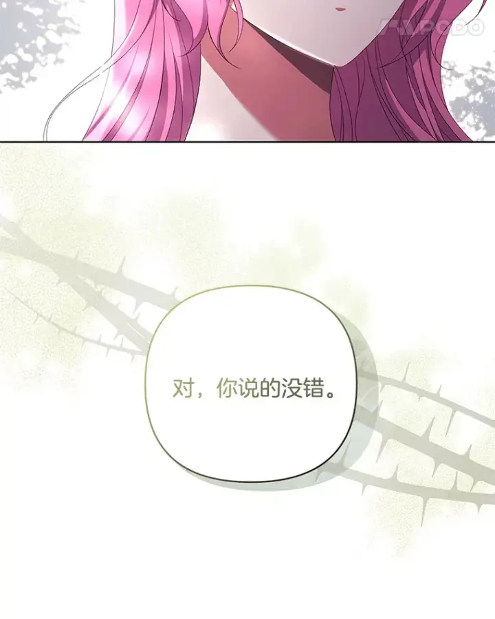 《偏执男配疯掉了》21.赎圣求罚图22