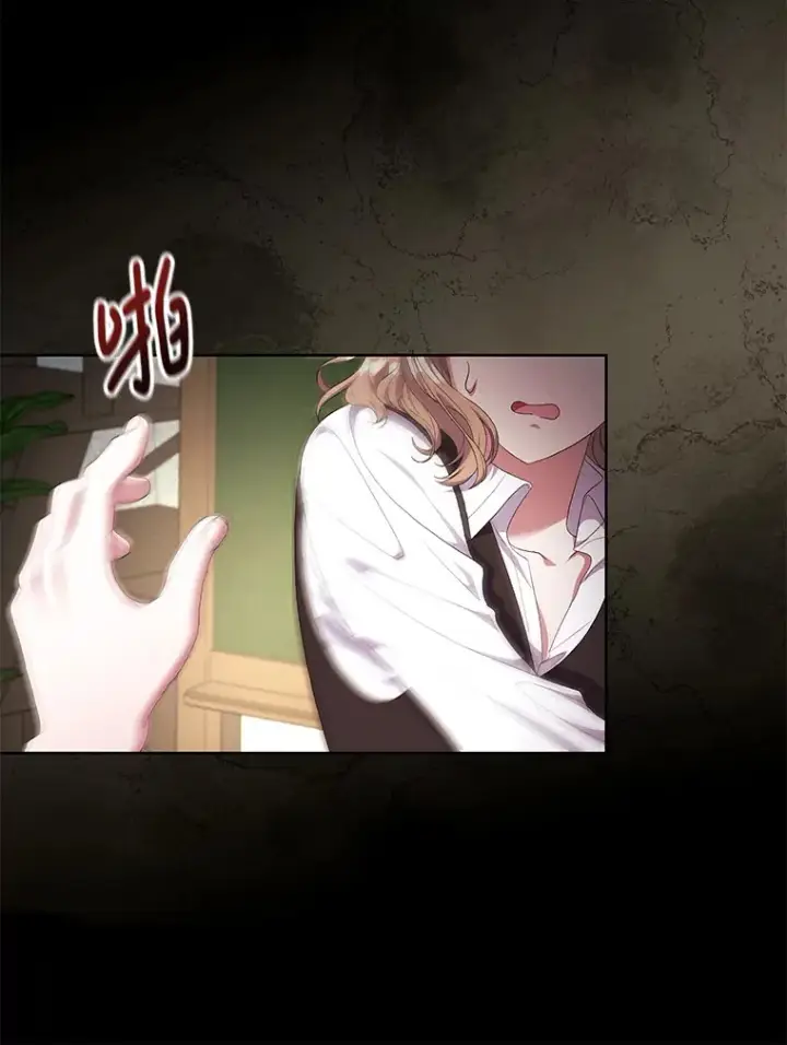 《偏执男配疯掉了》21.赎圣求罚图64