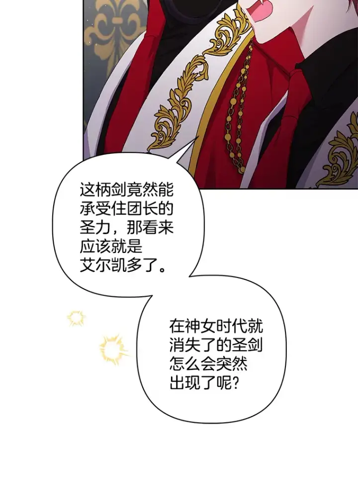 《偏执男配疯掉了》25.圣剑现世图37
