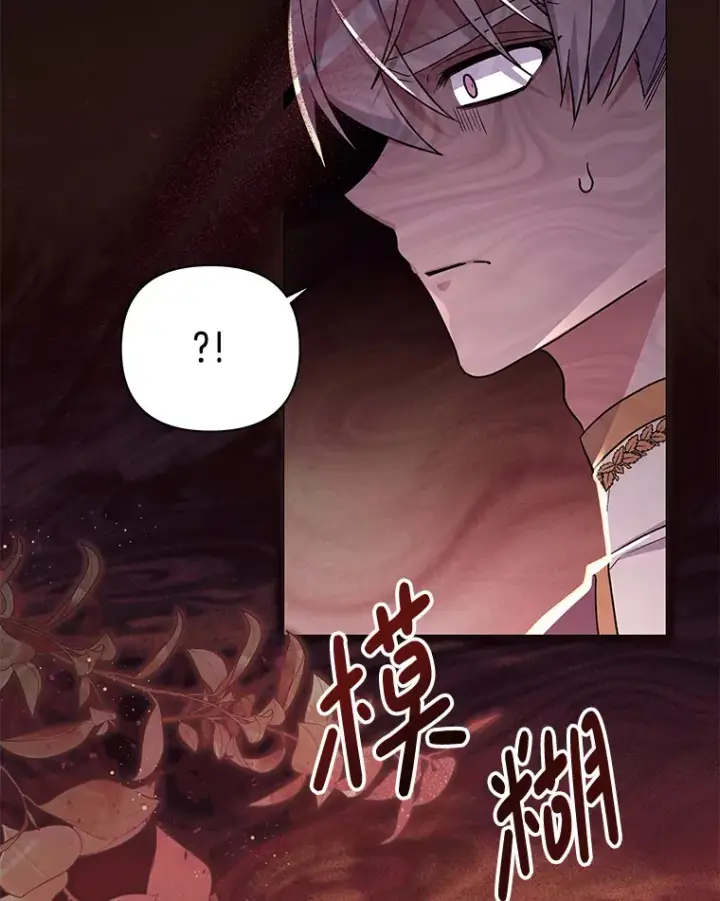 《偏执男配疯掉了》33.光之援军图101