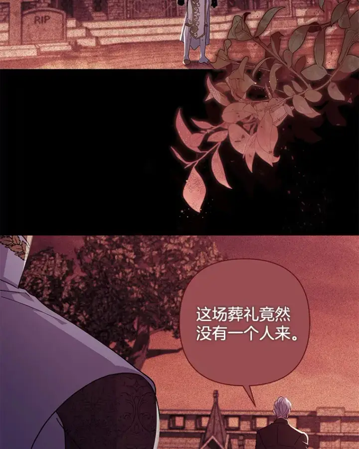 《偏执男配疯掉了》33.光之援军图103
