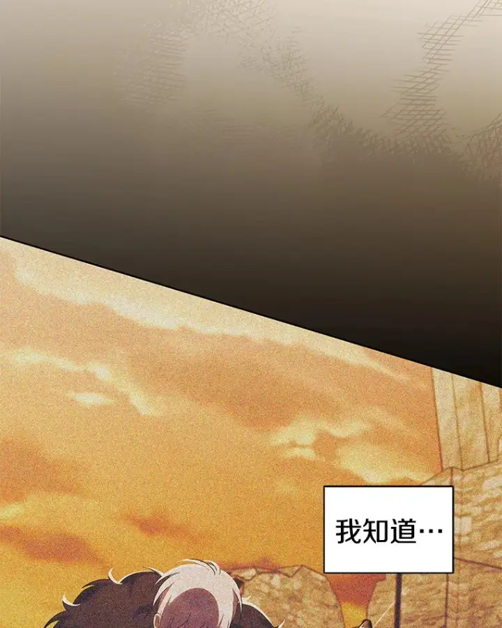《偏执男配疯掉了》33.光之援军图36