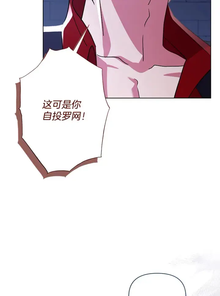 《偏执男配疯掉了》35.第三条路图41