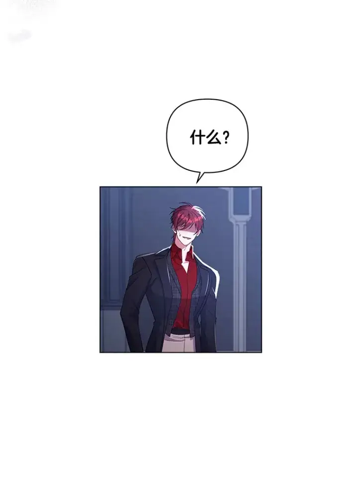 《偏执男配疯掉了》35.第三条路图43