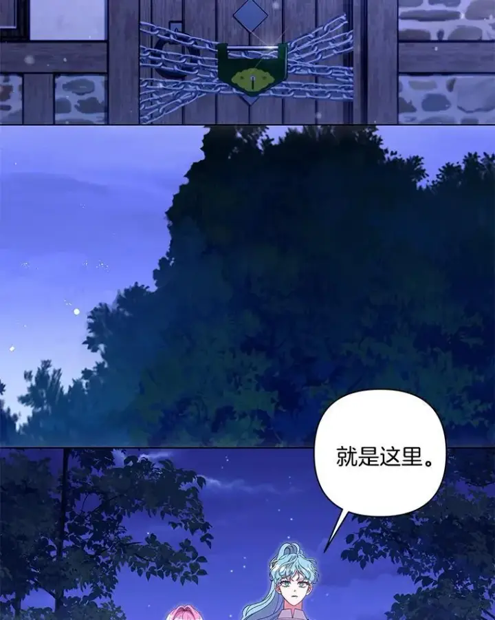 《偏执男配疯掉了》48.凯旋仪式图26