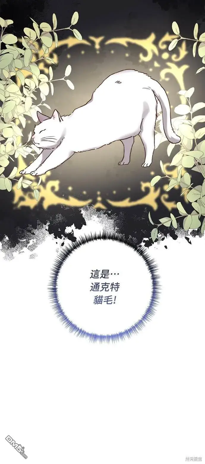 漫画《偏执男主的契约未婚妻》第54话第50张图
