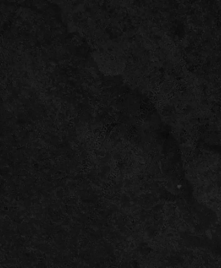 《抢走女主的初恋》47.凯旋的皇太子图70