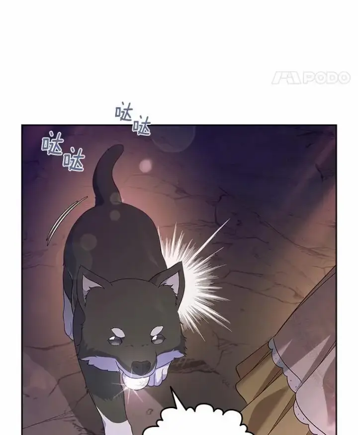《抢走女主的初恋》51.被选择之人图54