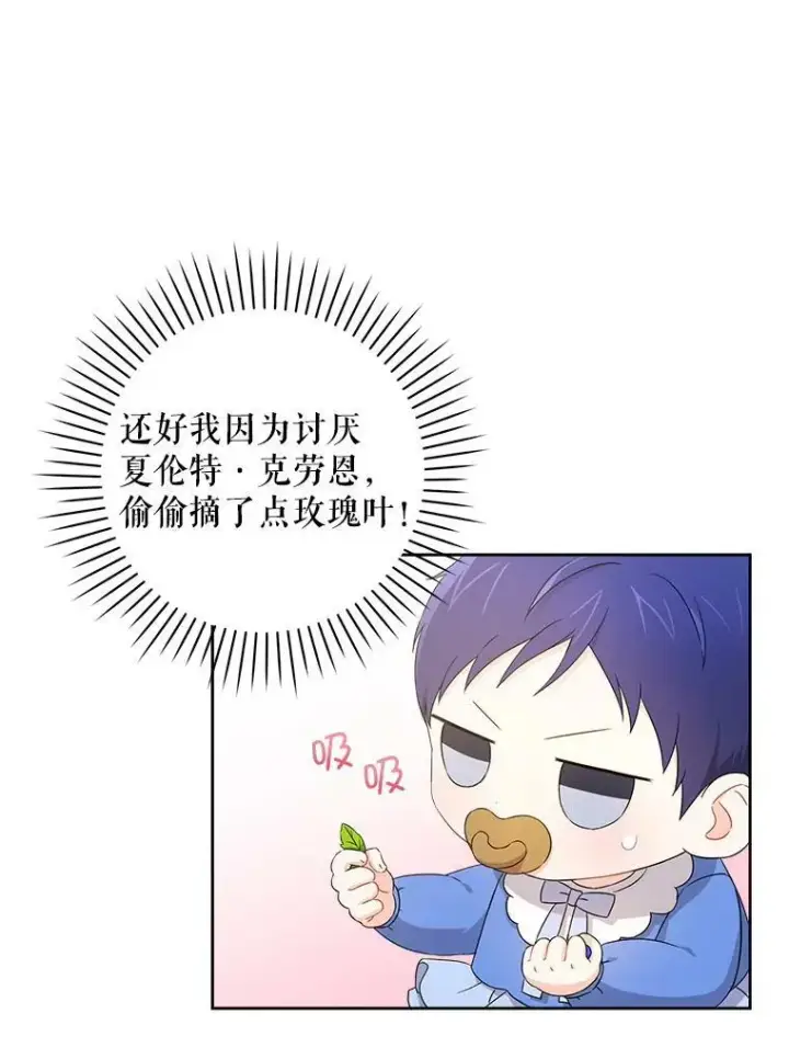 《请给我奶嘴》10.蟑螂图12