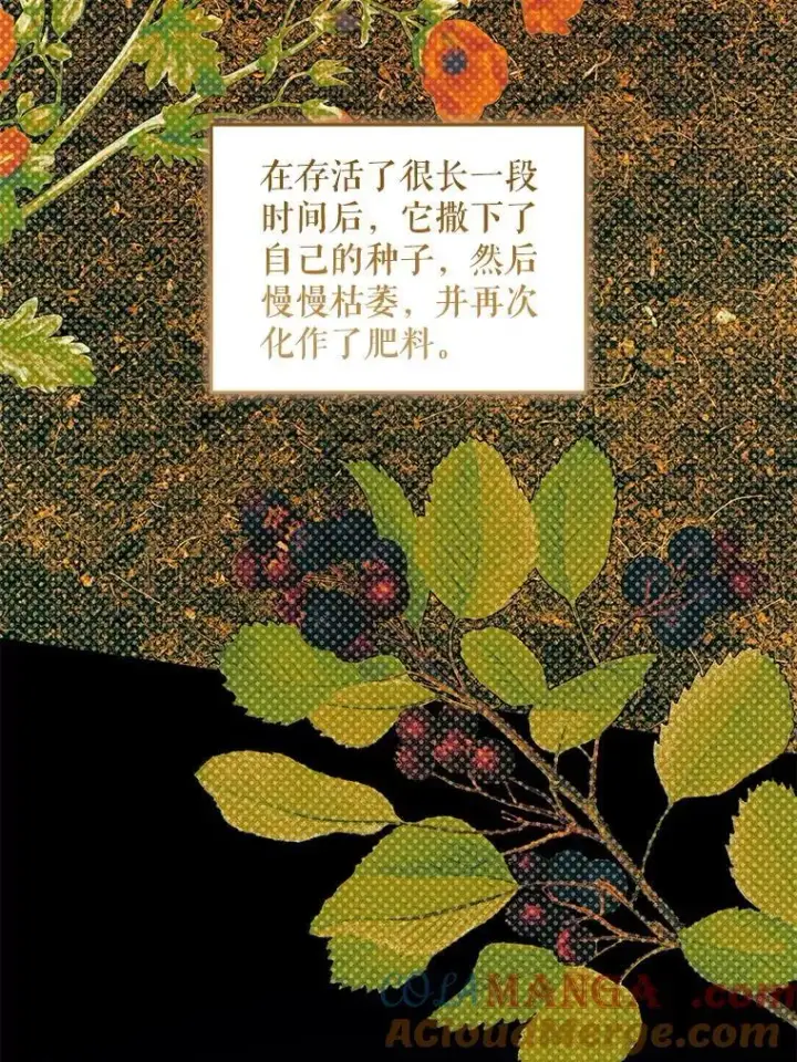 《请给我奶嘴》88.不讨厌图129