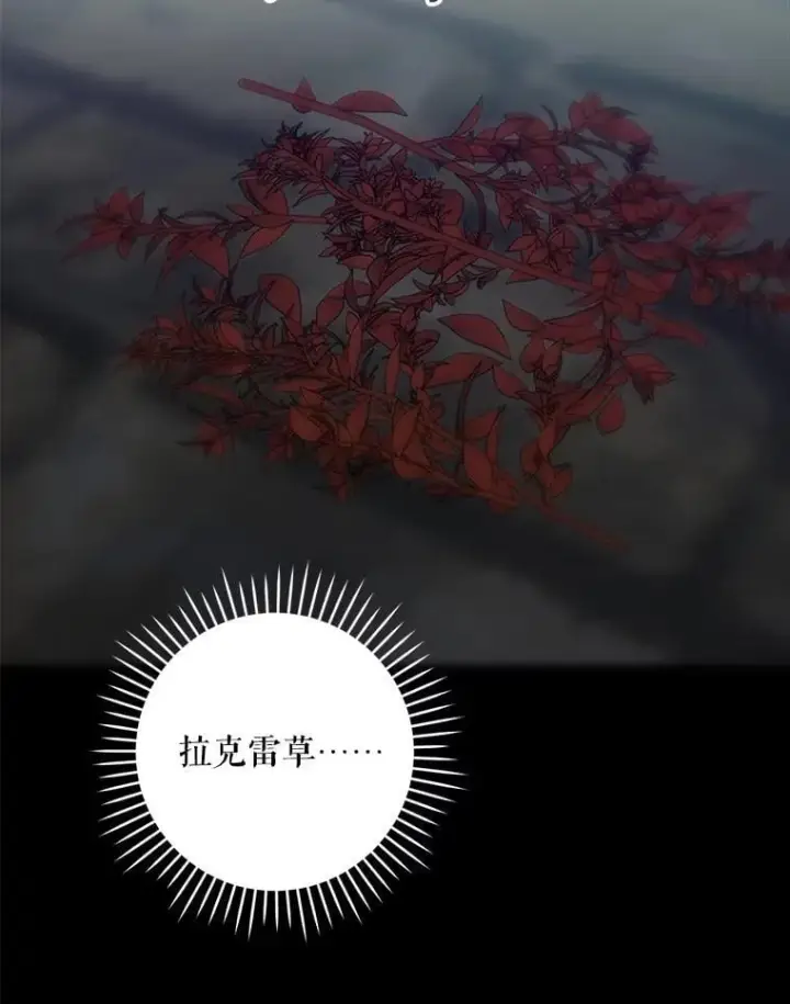 《请给我奶嘴》94.肆虐的黑魔力图52