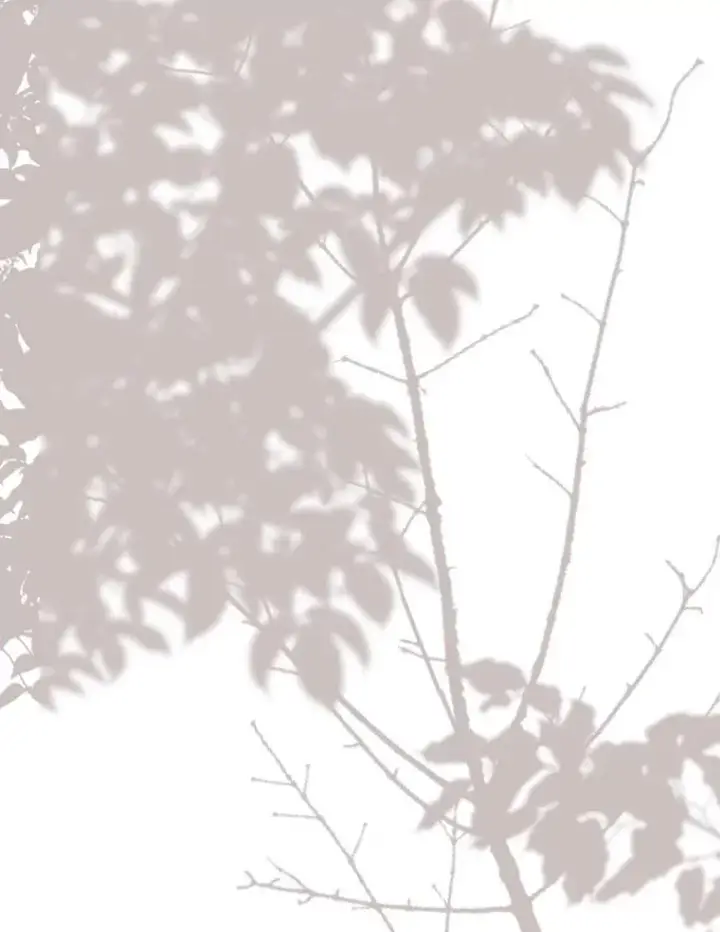 漫画《请痛快地处决我》67.结界被毁第99张图