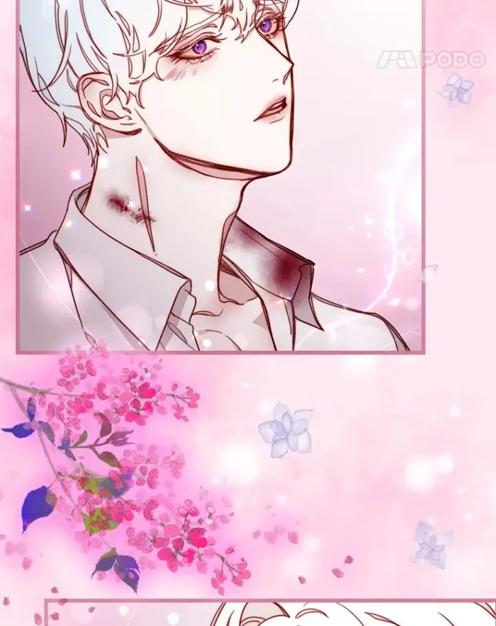 漫画《请忘了薇薇安》6.朝如青丝第14张图