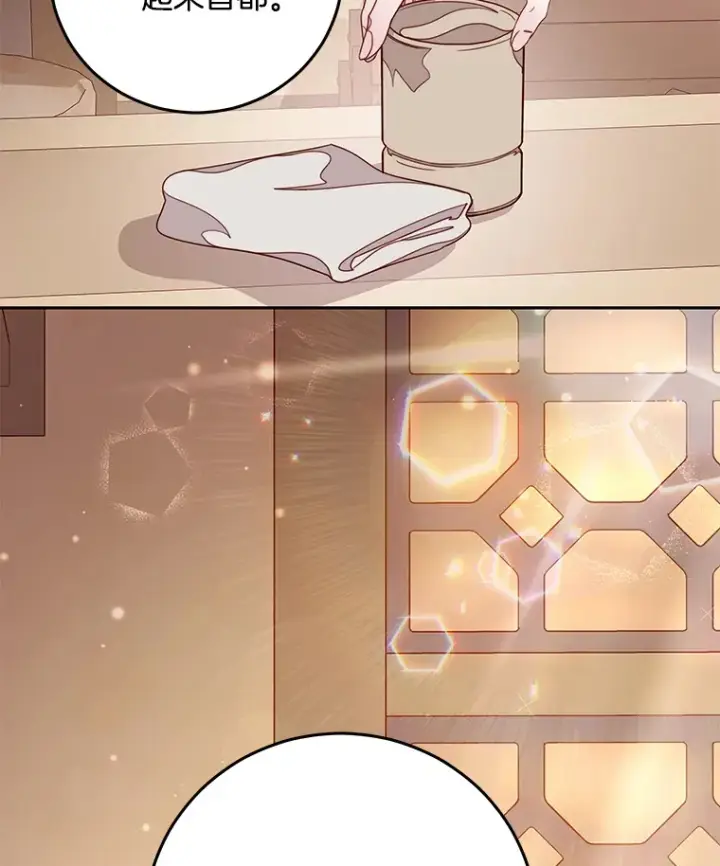 漫画《请忘了薇薇安》14.临别礼物第74张图