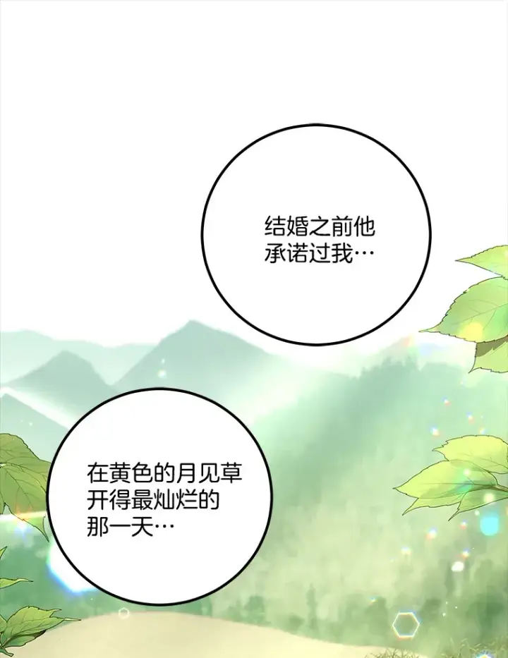 漫画《请忘了薇薇安》15.记忆碎片第32张图