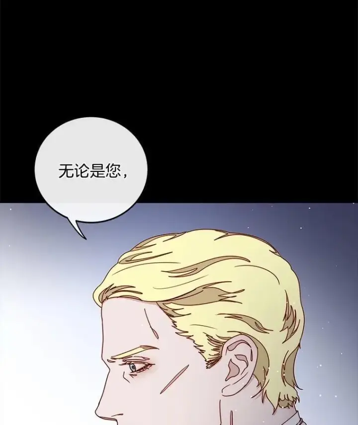 漫画《请忘了薇薇安》36.不幸之翼第100张图