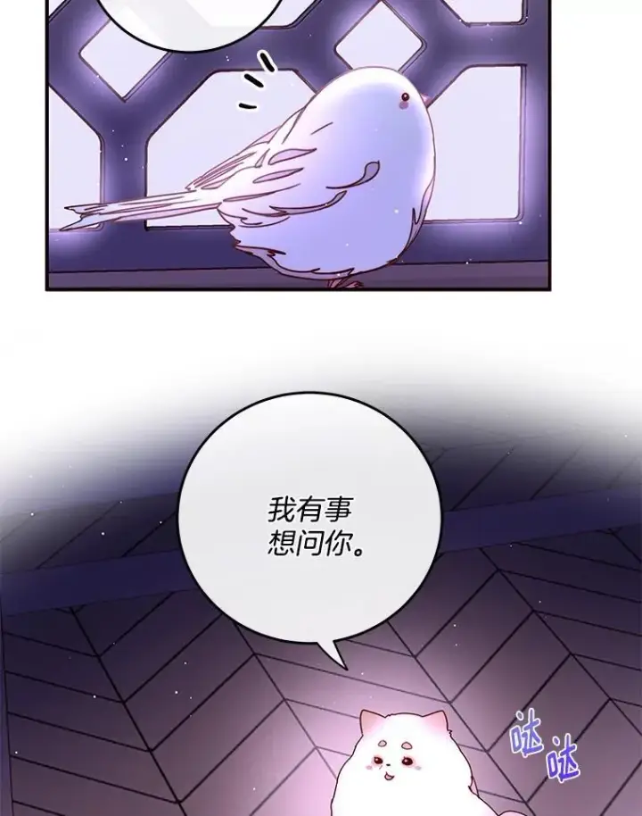 漫画《请忘了薇薇安》42.晴天霹雳第17张图