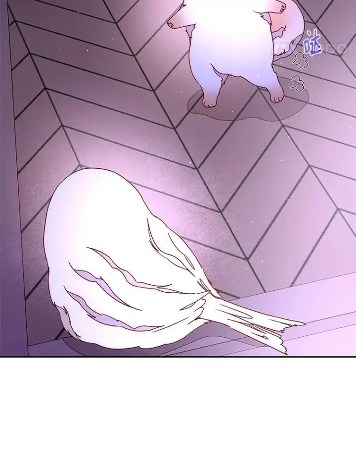 漫画《请忘了薇薇安》42.晴天霹雳第18张图