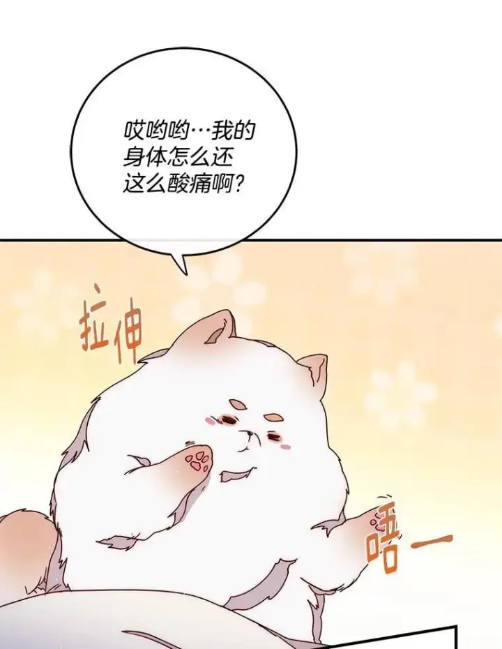 漫画《请忘了薇薇安》42.晴天霹雳第9张图