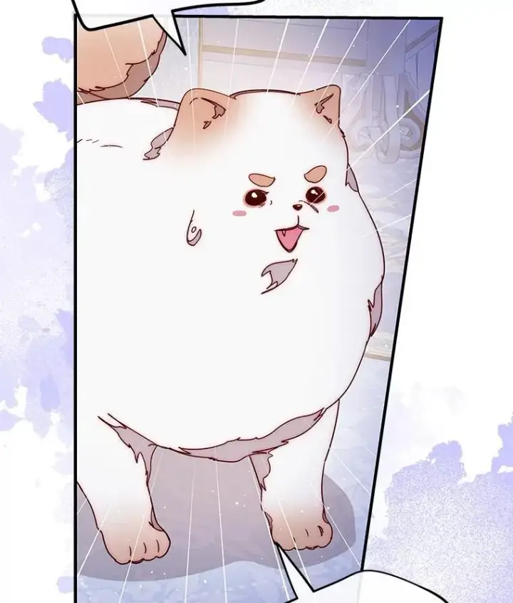 漫画《请忘了薇薇安》47.思念席卷而来第58张图