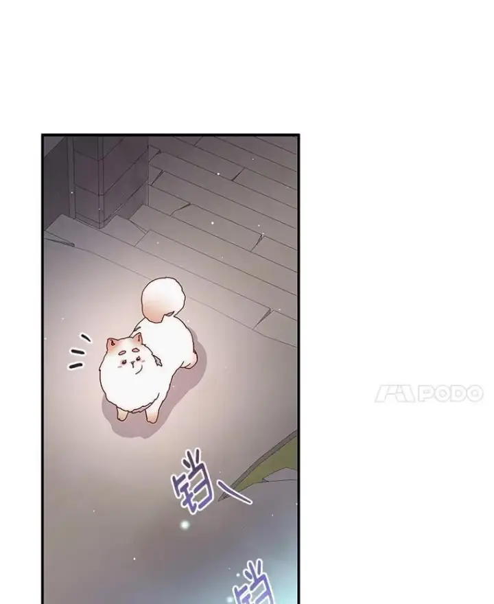 漫画《请忘了薇薇安》50.互述心迹第93张图
