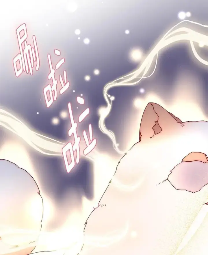 漫画《请忘了薇薇安》50.互述心迹第96张图