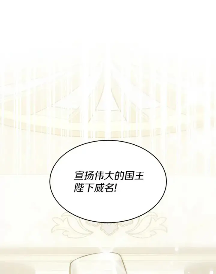 《其实我是SSS级神医》7.参加王宫庆典图107