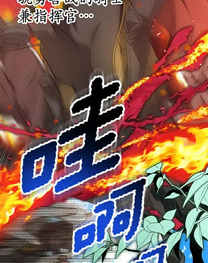 《其实我是SSS级神医》7.参加王宫庆典图113