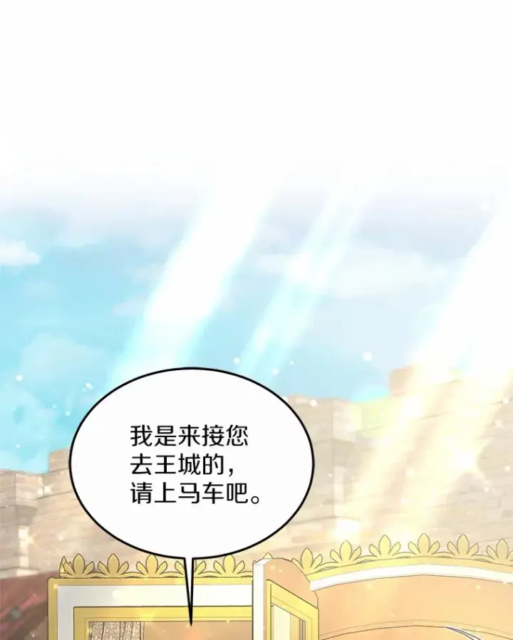 《其实我是SSS级神医》31.前往王城图124
