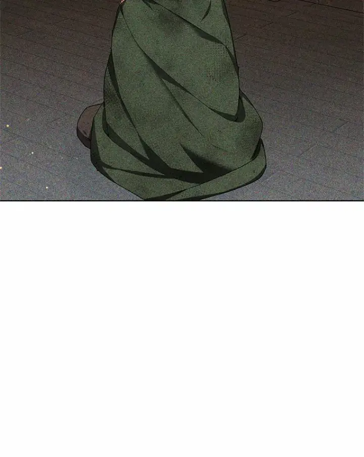 《其实我是SSS级神医》31.前往王城图134