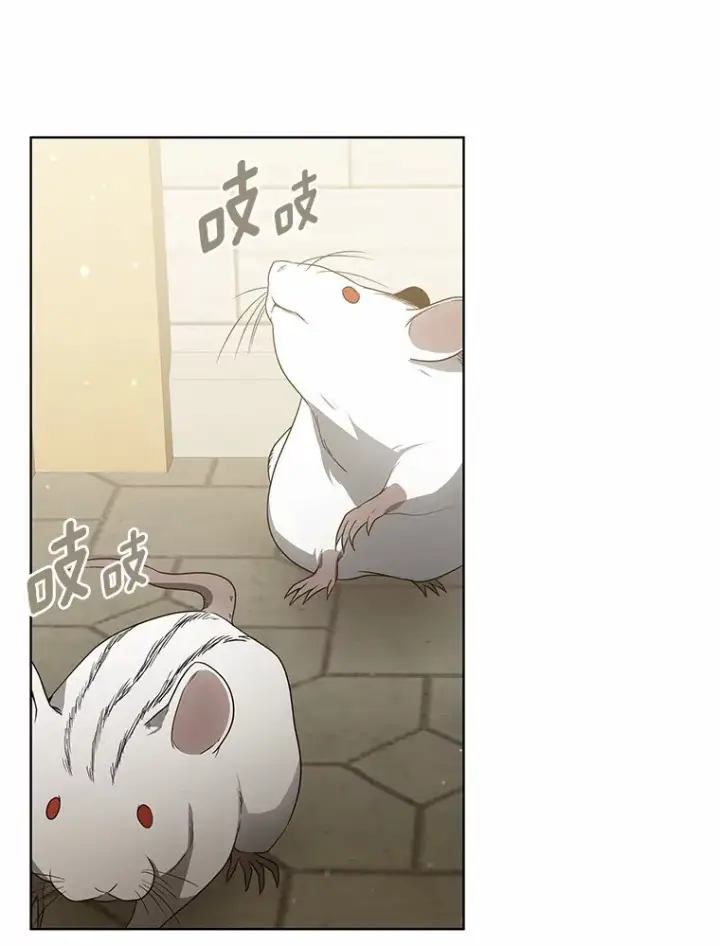 《其实我是SSS级神医》38.巴斯汀出血热图109