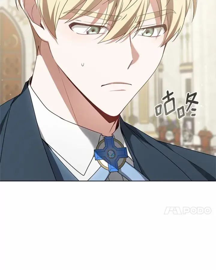 《其实我是SSS级神医》40.光之权杖勋章图61