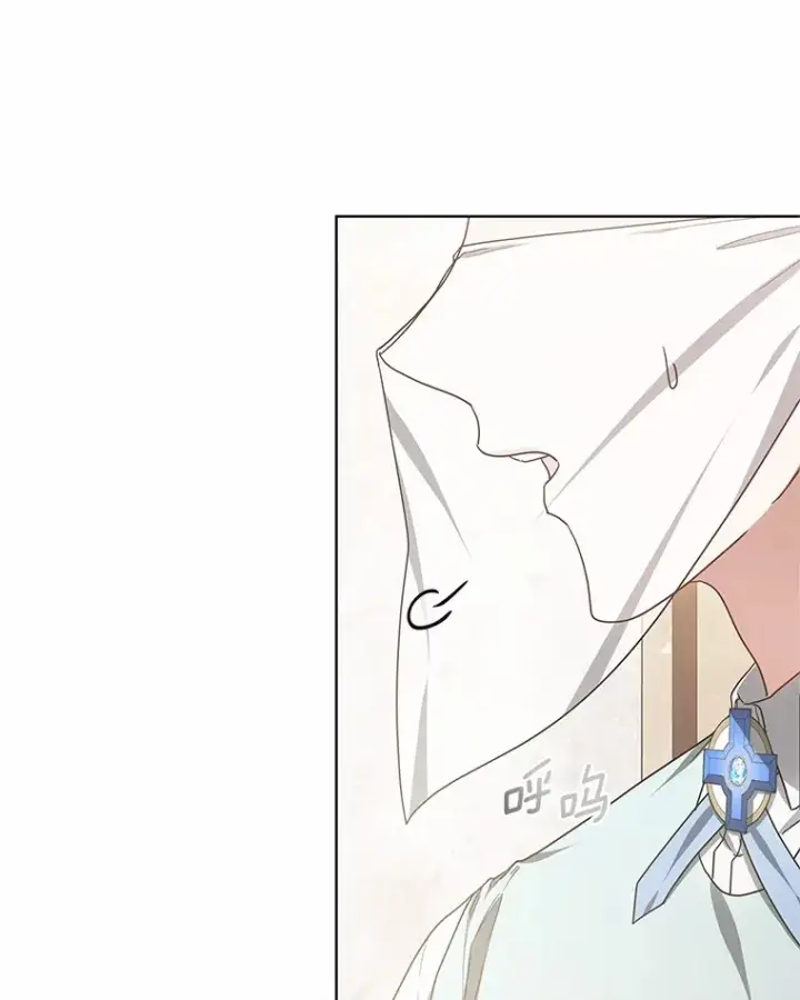 《其实我是SSS级神医》45.伟大的治疗师图44