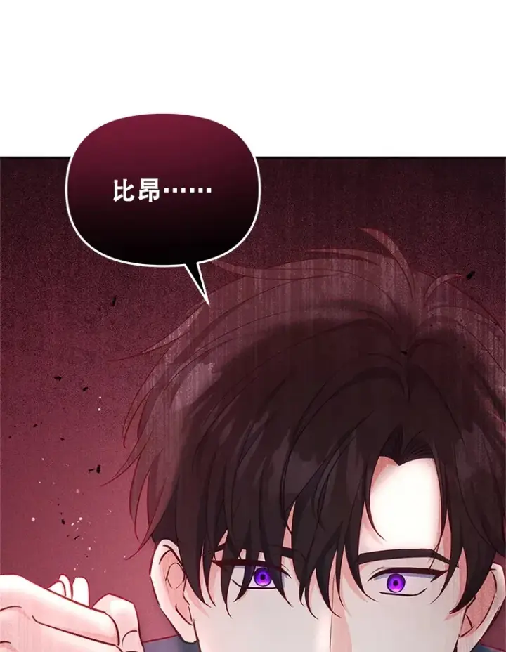 《契约夫妻的每一夜》14.见到比昂图56
