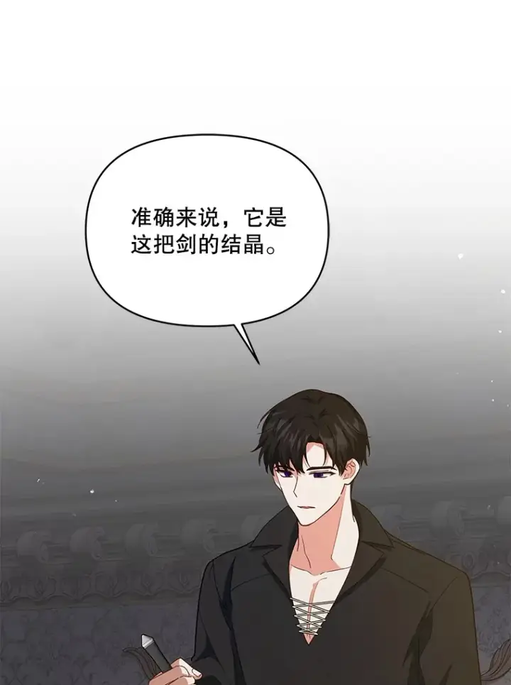 《契约夫妻的每一夜》19.剑的结晶图93