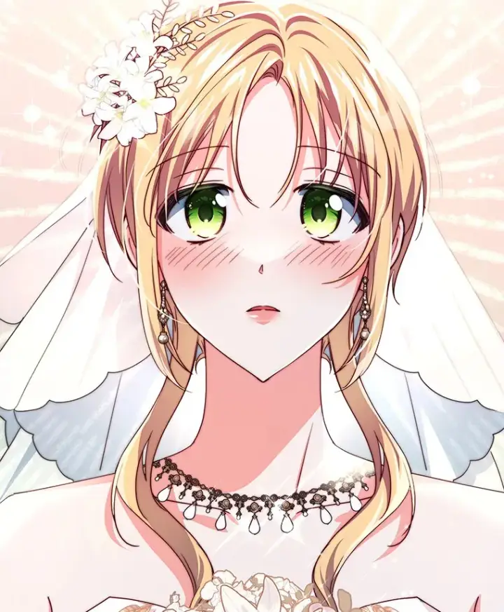 《契约夫妻的每一夜》32.成婚图13