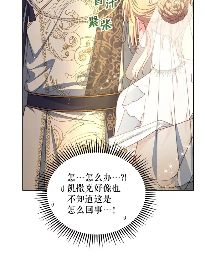 《契约夫妻的每一夜》32.成婚图52