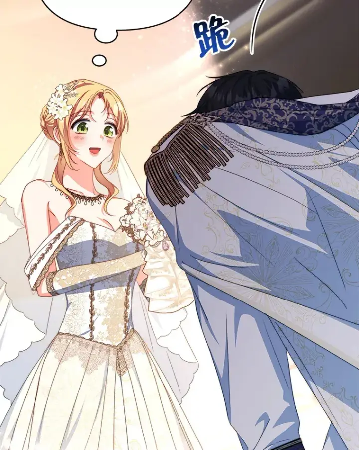 《契约夫妻的每一夜》32.成婚图72