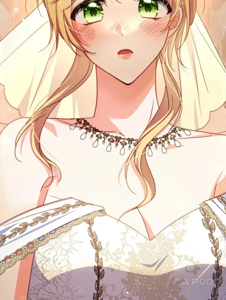 《契约夫妻的每一夜》32.成婚图87