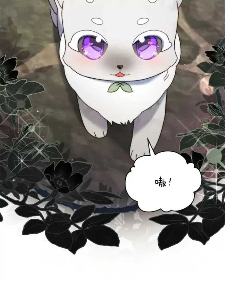 《契约夫妻的每一夜》44.皇太子的疑问图48