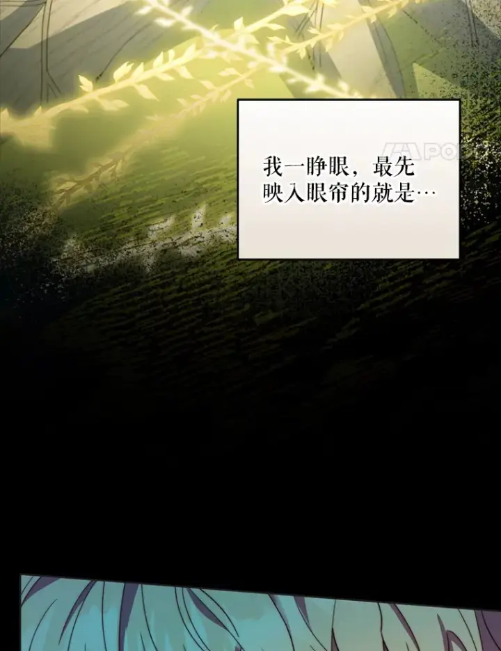 《契约夫妻的每一夜》47.净化能力显现图36