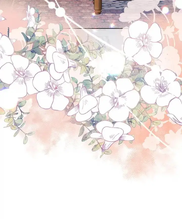 《契约夫妻的每一夜》68.凯撒克的回忆图34
